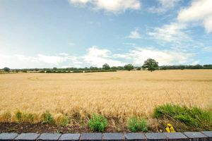 Photo 21- click for photo gallery